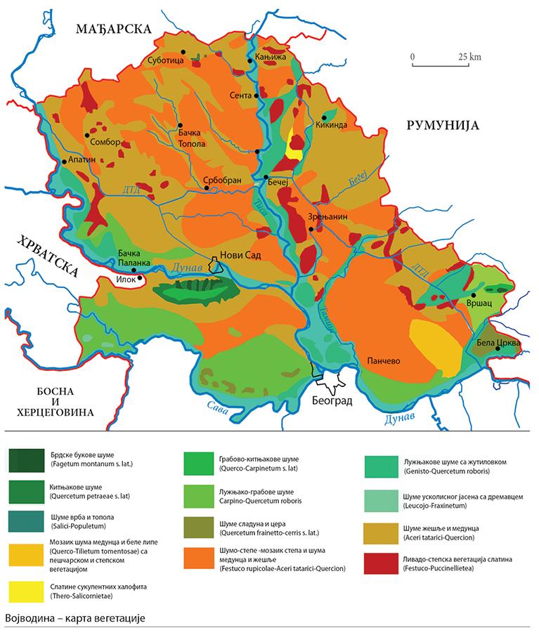 010_III_karta-vegetacija.jpg