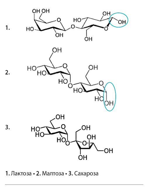 001_SE_V_Disaharidi_laktoza-maltoza-saharoza.jpg