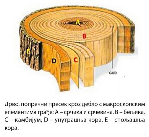 001_SE_V_DRVO_poprecni-presek.jpg