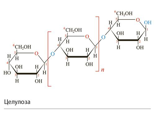 002_SE_V_DRVO_celuloza.jpg